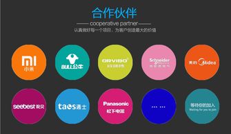 迅速開發(fā)與運(yùn)營 智能電器產(chǎn)品的電子商務(wù)平臺模式探析